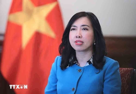 Vietnam - Europe ties reach new height in 2025: Deputy Foreign Minister